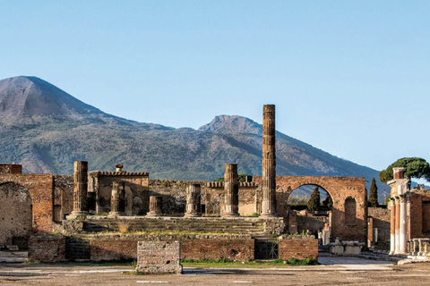 Desde Nápoles: excursión de un día a Pompeya, Ercolano y el Vesubio