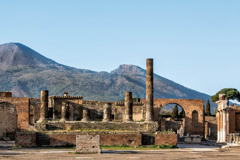 Desde Nápoles: excursión de un día a Pompeya, Ercolano y el Vesubio