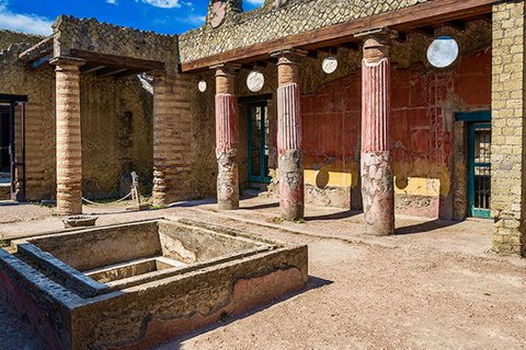 Desde Nápoles: excursión de un día a Pompeya, Ercolano y el Vesubio