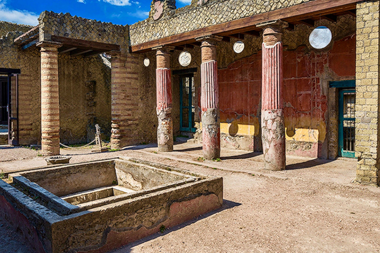 Desde Nápoles: excursión de un día a Pompeya, Ercolano y el Vesubio