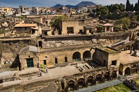 Desde Nápoles: excursión de un día a Pompeya, Ercolano y el Vesubio