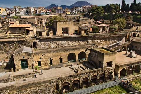 Desde Nápoles: excursión de un día a Pompeya, Ercolano y el Vesubio