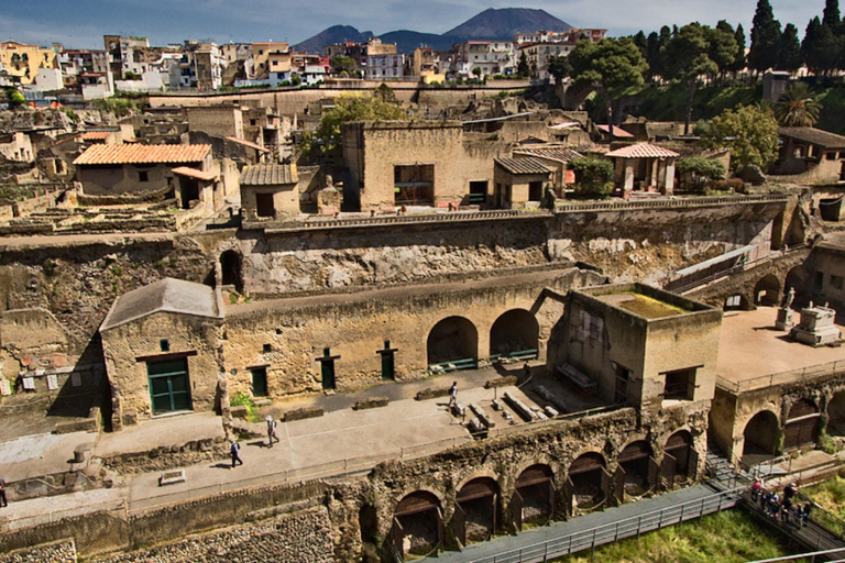 Desde Nápoles: excursión de un día a Pompeya, Ercolano y el Vesubio