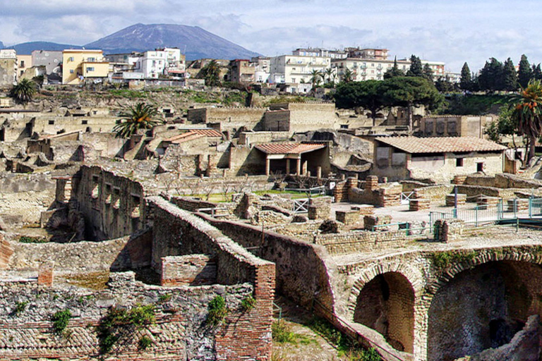 Desde Nápoles: excursión de un día a Pompeya, Ercolano y el Vesubio