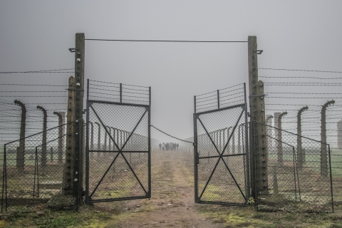 Cracovia: Auschwitz-Birkenau y mina de sal de Wieliczka con recogidaTour con un conductor privado