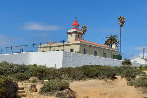 Lagos: tour de Ponta Da Piedade y Lagos con degustación de vinosLagos: visita guiada a Ponta da Piedade y cata de vinos