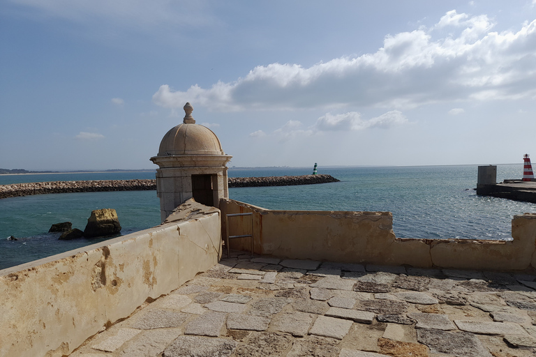 Lagos: visite de Ponta Da Piedade et de Lagos avec dégustation de vinLagos: visite guidée de Ponta Da Piedade et dégustation de vin