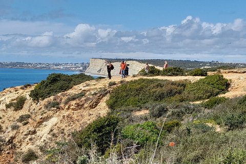 Lagos: visite de Ponta Da Piedade et de Lagos avec dégustation de vinLagos: visite guidée de Ponta Da Piedade et dégustation de vin