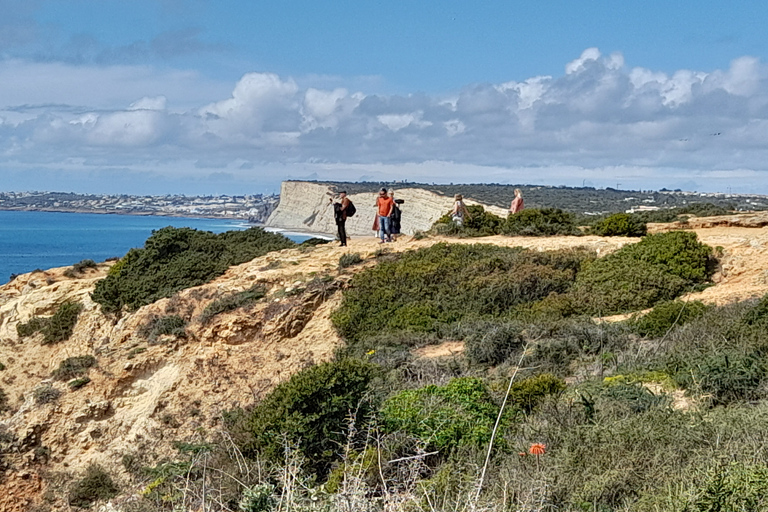 Lagos: Ponta Da Piedade i Lagos Tour z degustacją winaLagos: Wycieczka z przewodnikiem po Ponta Da Piedade i degustacja wina