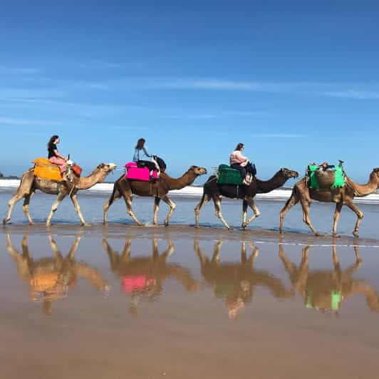 Agadir Quad Biking And Camel Ride Experience Getyourguide