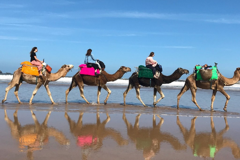 Agadir : safari en quad et balade en chameauRandonnée en quad et à dos de chameau sur la plage de Desert Banana