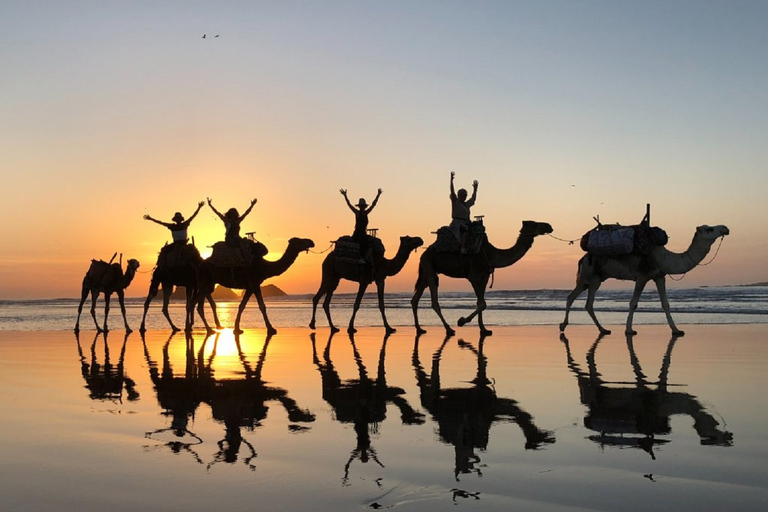 Agadir : safari en quad et balade en chameauRandonnée en quad et à dos de chameau sur la plage de Desert Banana