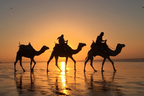 Agadir : safari en quad et balade en chameauRandonnée en quad et à dos de chameau sur la plage de Desert Banana