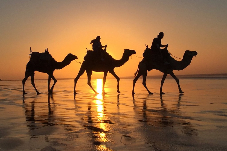 Agadir : safari en quad et balade en chameauRandonnée en quad et à dos de chameau sur la plage de Desert Banana