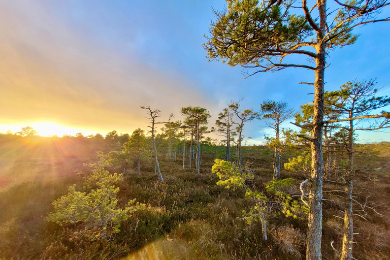 Ķemeri Bogs Adventure: Explore Wetlands In Bog Shoes