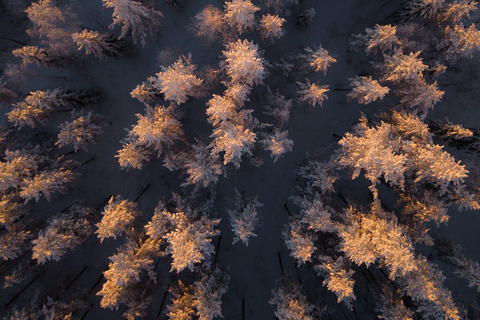 Rovaniemi: Snowmobile Safari & Reindeer Encounter