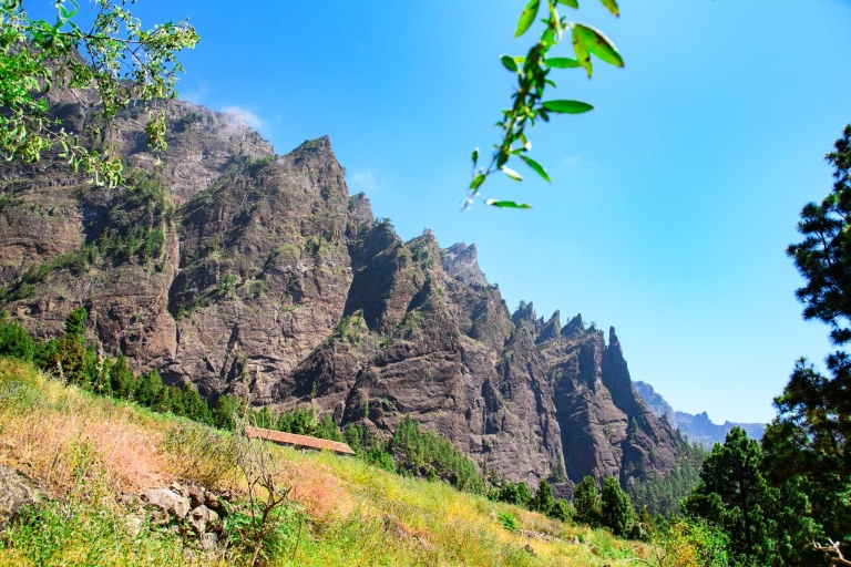 La Palma: caminata guiada por el Parque Nacional Caldera de TaburienteRecogida en Fuencaliente