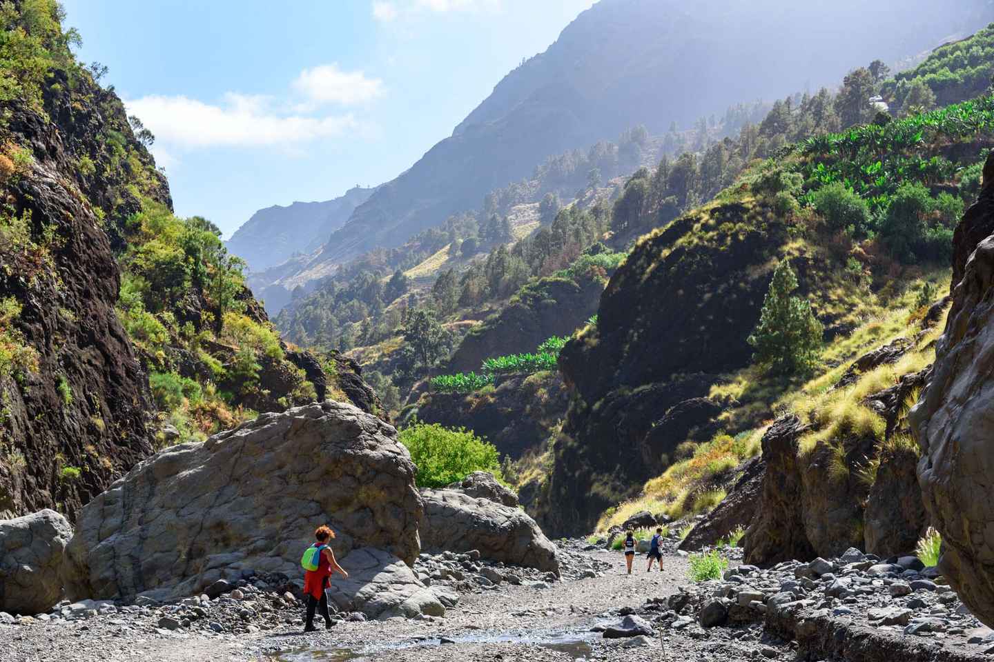 La Palma: Caldera de Taburiente National Park Guided Hike