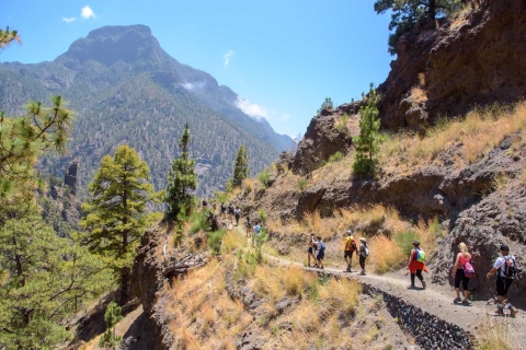 La Palma: caminata guiada por el Parque Nacional Caldera de TaburienteRecogida en Fuencaliente