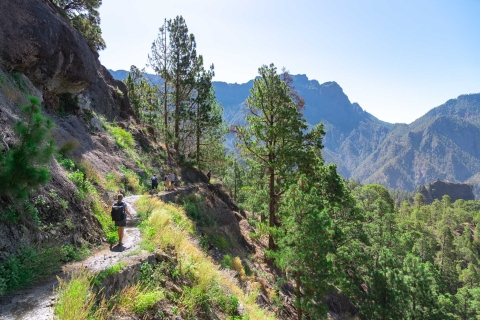 La Palma: Caldera de Taburiente National Park Guided Hike Tour with pick up in Fuencaliente (La Palma Princess)