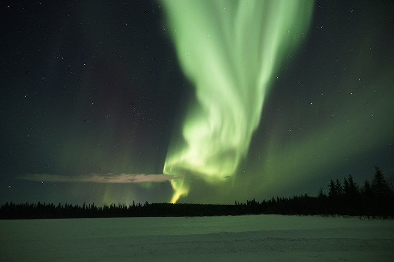 Rovaniemi: excursão fotográfica de caça à Aurora Boreal