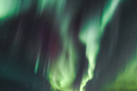 Rovaniemi: excursão fotográfica de caça à Aurora Boreal