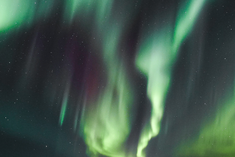 Rovaniemi: excursão fotográfica de caça à Aurora Boreal