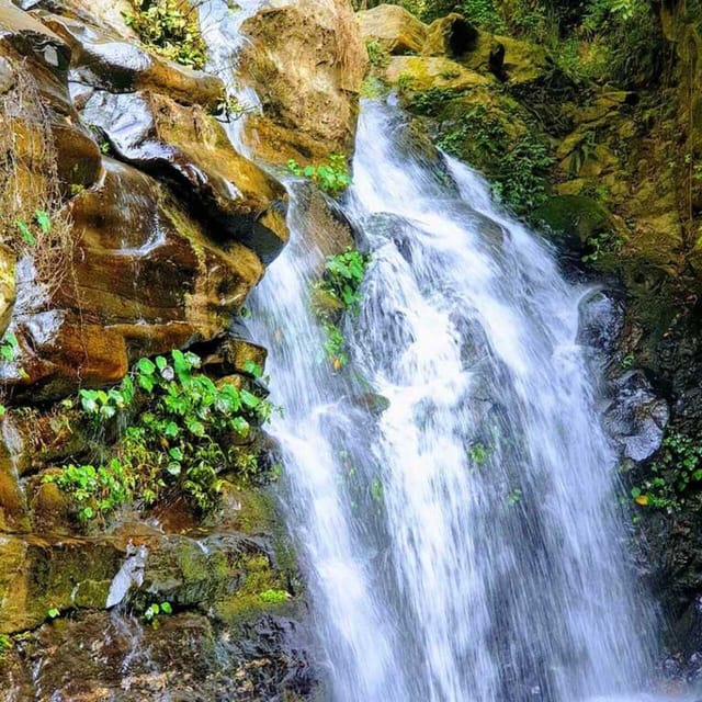 Da Kathmandu, 5 giorni Chisapani a Nagarkot Trek - Hizvo