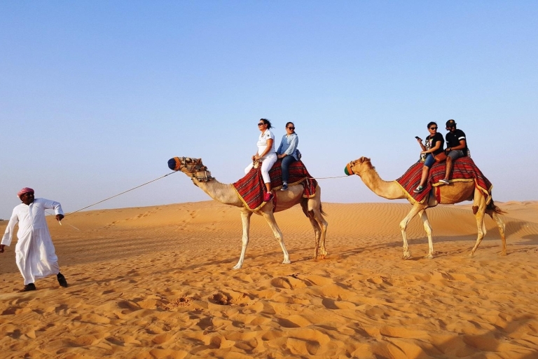 Desde Riad: Safari por el desierto en 4x4 con aperitivos y traslado