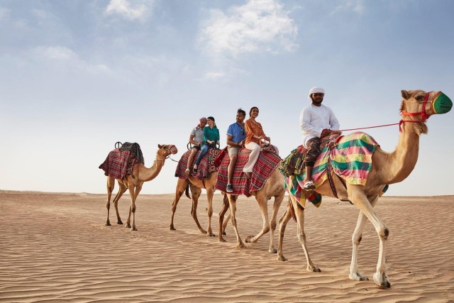 Visit From Riyadh: Morning Desert Safari with Transfer in Riyadh, Saudi Arabia