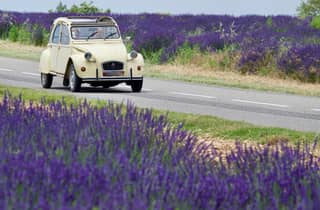 Das Beste der Provence: 4-tägige Tour
