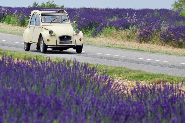 Det bästa av Provence: 4-dagars rundtur