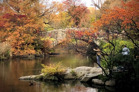 New York Central Park : visite audioguidée à pied