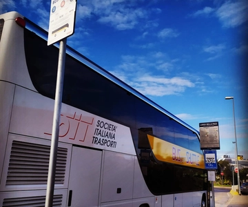 Rome: Civitavecchia Port to/from Vatican City Bus Transfer
