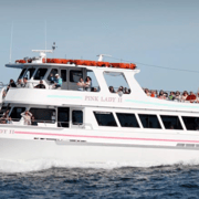 Boothbay: Lighthouses & Islands Harbor Cruise | GetYourGuide