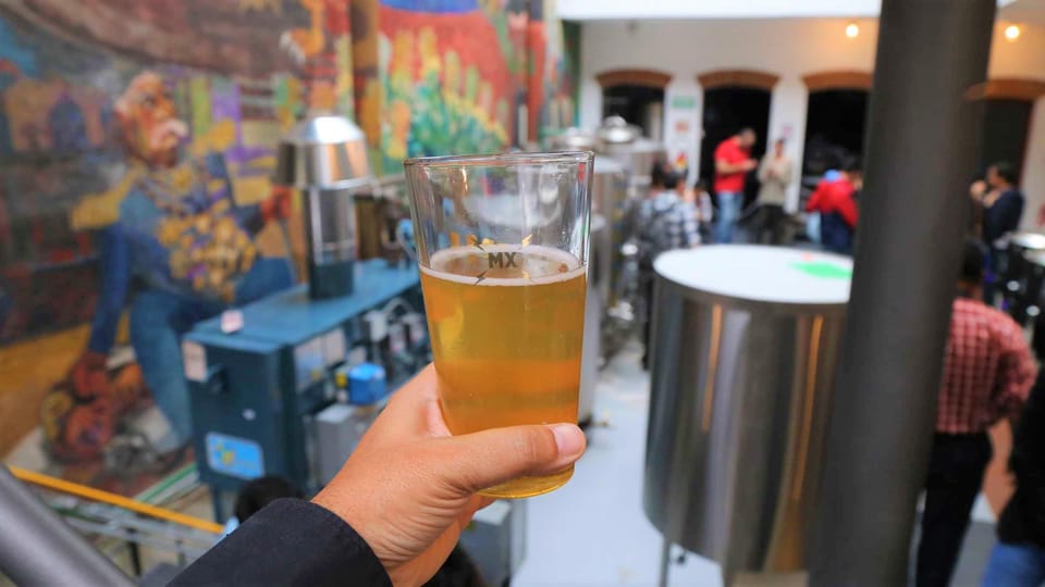 Mexico City Tasting Tour and Craft Beer Experience GetYourGuide