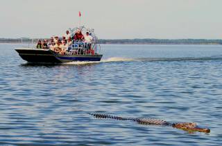 South Beach: Everglades Wildlife Airboat Tour