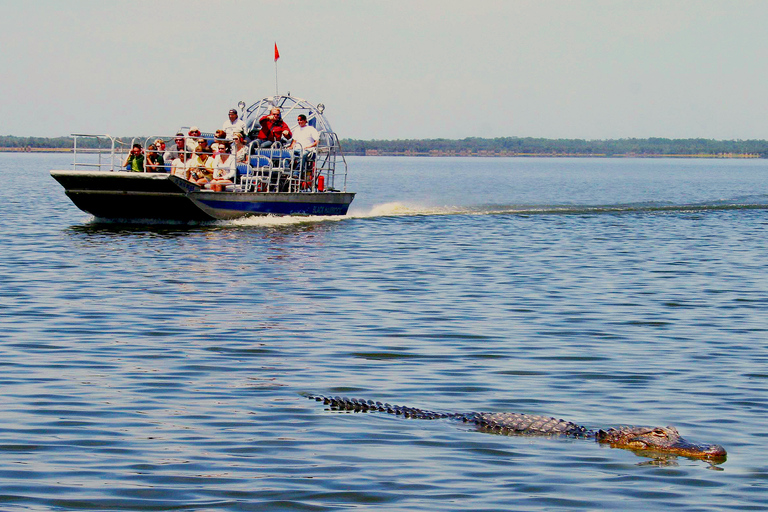 South Beach: Everglades Wildlife Airboat TourMorgonrundtur (kl. 9.00)