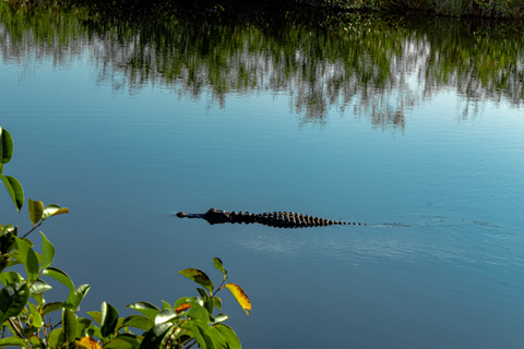 South Beach: Everglades Wildlife Airboat TourMorgonrundtur (kl. 9.00)