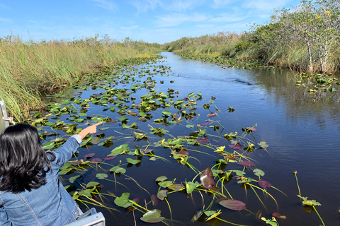 South Beach: Everglades Wildlife Airboat TourMorning Tour (9:00 AM)