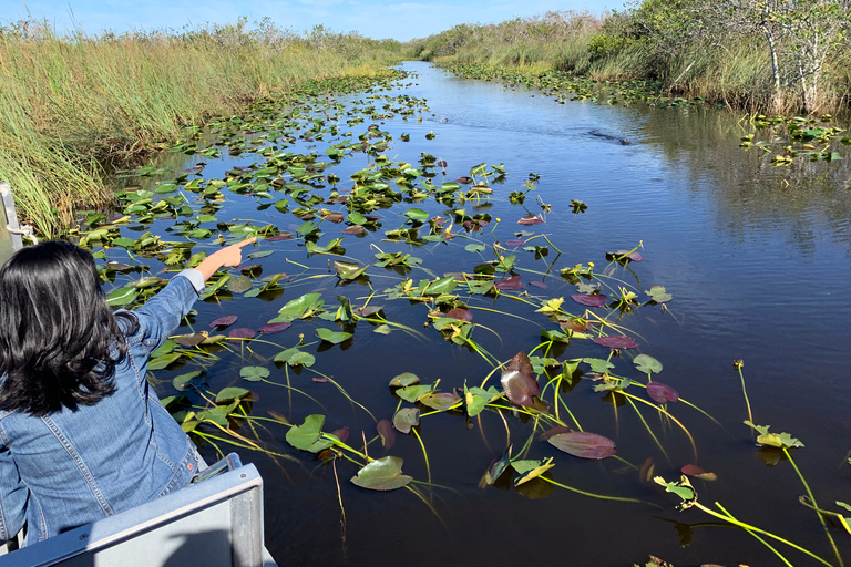 South Beach: Everglades Wildlife Airboat TourMorning Tour (9:00 AM)