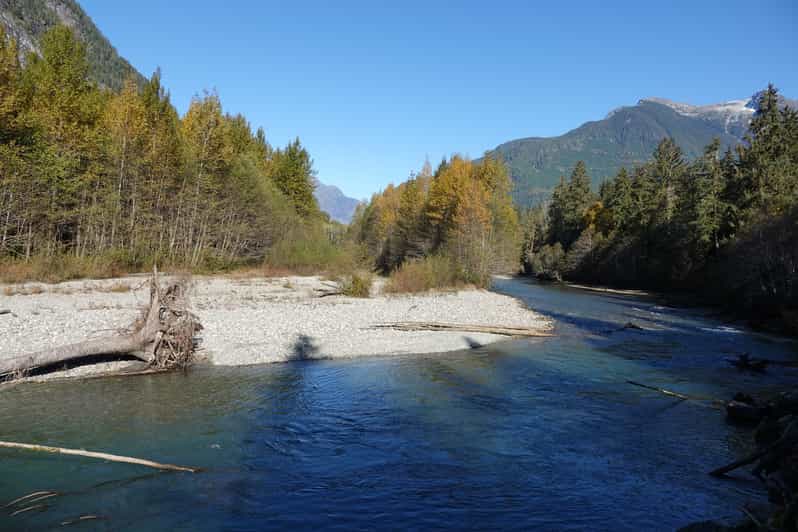 Campbell River Bute Inlet GrizzlyWatching Tour & Boat Ride GetYourGuide