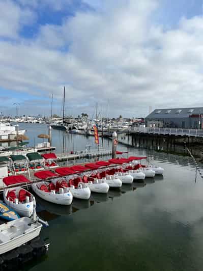 San Diego Bay EcoPedal Boat Rental GetYourGuide