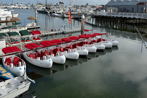 San Diego: San Diego Bay Dog-Friendly Eco Pedal Boat Rentals