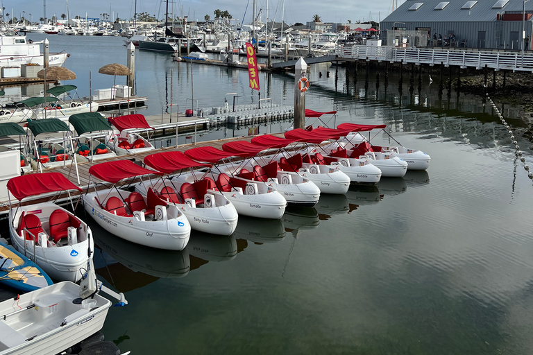 San Diego: San Diego Bay Dog-Friendly Eco Pedal Boat Rentals