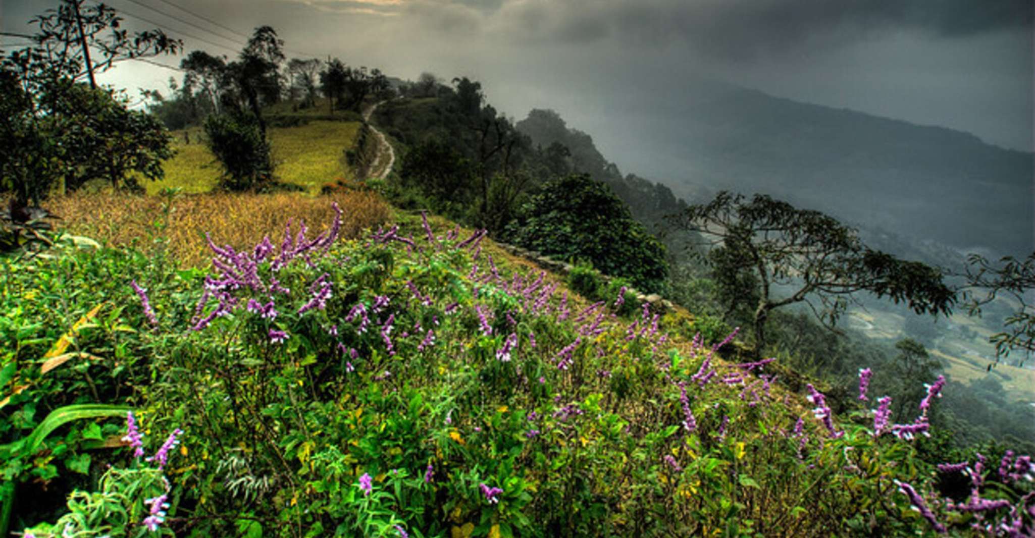 Da Pokhara, Dhampus-Sarangkot Trek di 3 giorni - Hizvo
