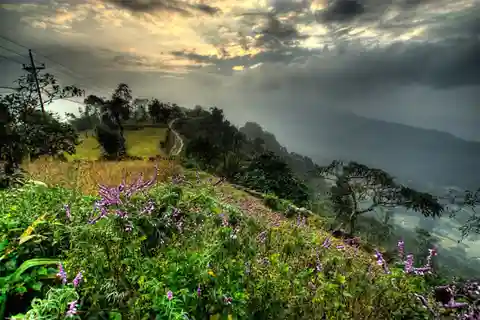 Da Pokhara: trekking di 3 giorni Dhampus-Sarangkot