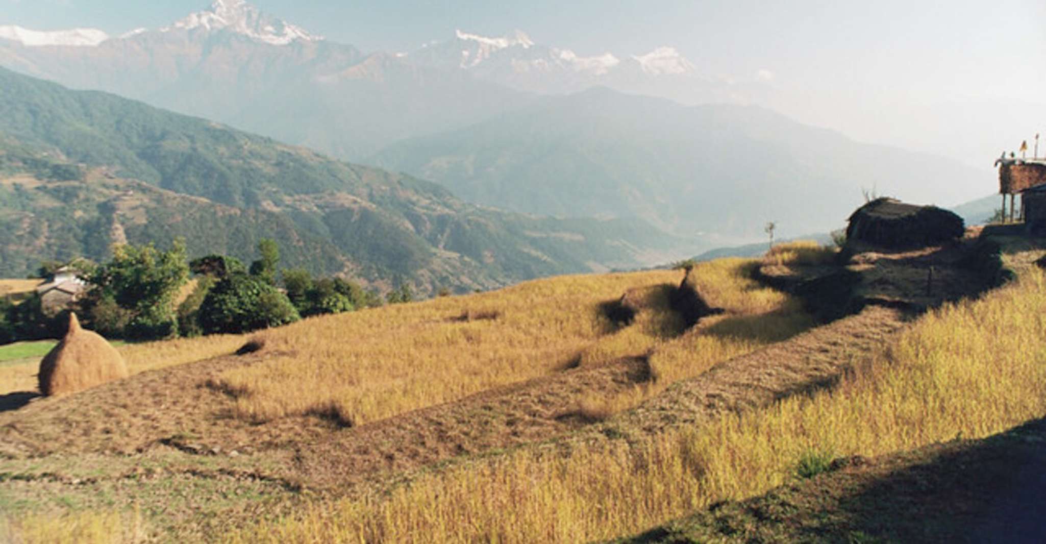 Da Pokhara, Dhampus-Sarangkot Trek di 3 giorni - Hizvo