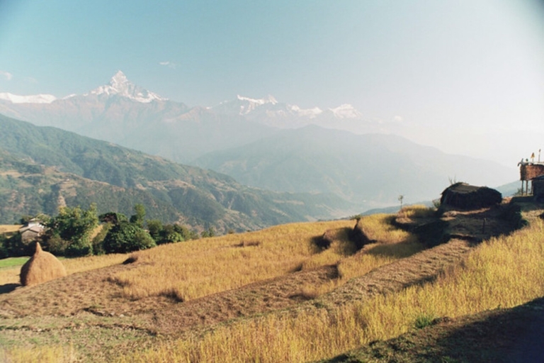 Desde Pokhara: caminata de 3 días a Dhampus-Sarangkot