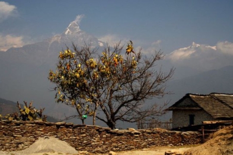 Van Pokhara: driedaagse Dhampus-Sarangkot-trektocht